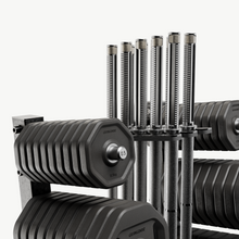 Lade das Bild in den Galerie-Viewer, The Group – Prémium súlyzós rendszer csoportos edzésekhez- Gungnir of Norway